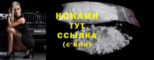 ECSTASY Богданович